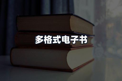 多格式电子书